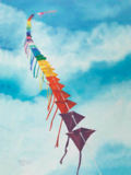 Carol Thompson - Flying Colors