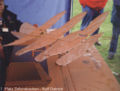 Drachenmeisterschaft 2005