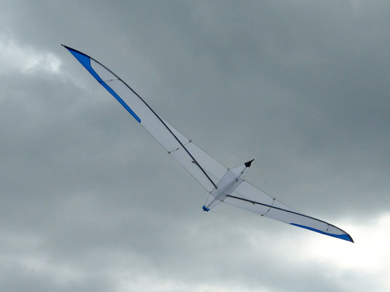 Datei:Albatros.jpg