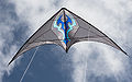 Vorschaubild der Version vom 13:53, 7. Aug. 2010