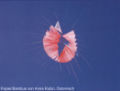 Cervia 2005
