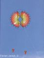 Fanø 2005
