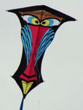 Mandrill
