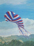 Carol Thompson - Spinsock